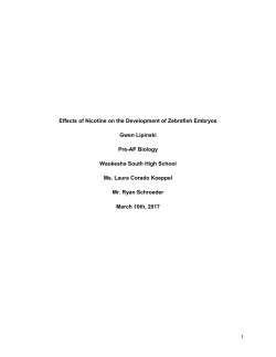 Effects of Nicotine on the Development of Zebrafish Embryos Gwen