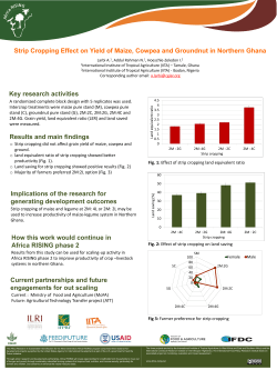 Strip Cropping Effect on Yield of Maize, Cowpea - CGSpace