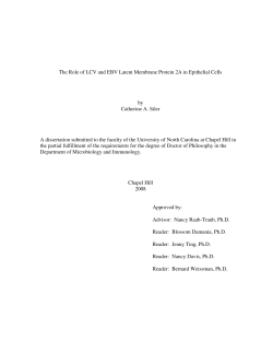 The Role of LCV and EBV Latent Membrane Protein 2A in Epithelial