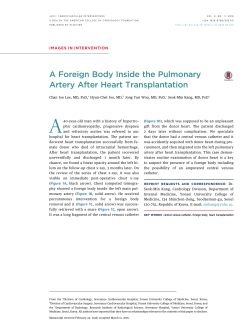 A Foreign Body Inside the Pulmonary Artery After Heart