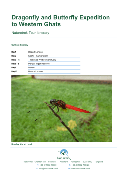 Dragonfly and Butterfly Expedition to Western Ghats