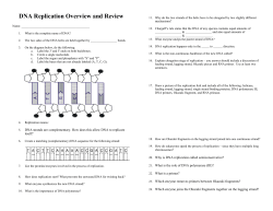 DNA Replication Overview and Review