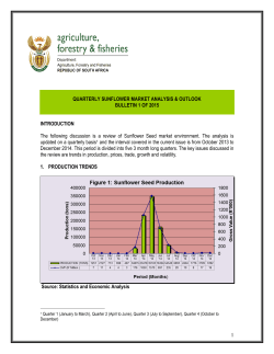 quarterly sunflower market analysis