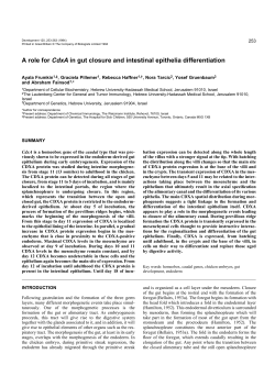 A role for CdxA in gut closure and intestinal epithelia