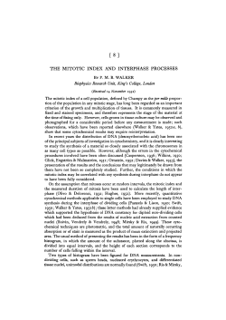 THE MITOTIC INDEX AND INTERPHASE PROCESSES