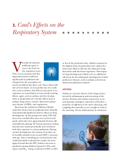 3. Coal`s Effects on the Respiratory System