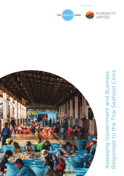 Assessing Government and Business Responses to