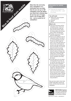 Blue tit food chain mobile