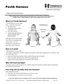 Pavlik Harness - Children`s Healthcare of Atlanta