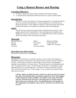 01 Bunsen Burner Lab