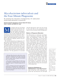 Mycobacterium tuberculosis and the Four