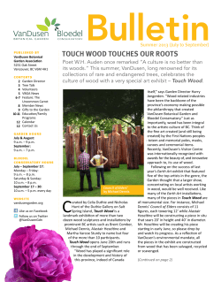 TOUCH WOOD TOUCHES OUR ROOTS