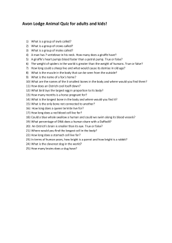 (and difficult) animal quiz