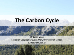 The Carbon Cycle - School of Geography