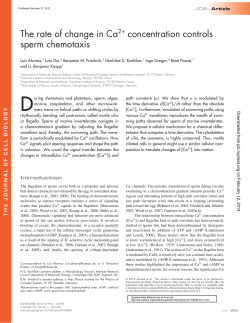 The rate of change in Ca2+ concentration controls sperm chemotaxis