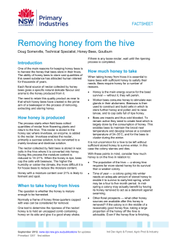 Removing honey from the hive - NSW Department of Primary