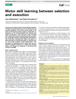 Motor skill learning between selection and execution