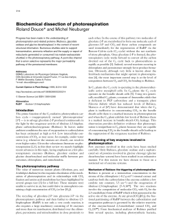 Biochemical dissection of photorespiration Roland Douce* and