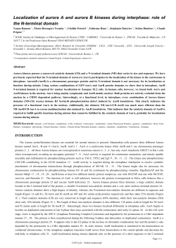 Localization of aurora A and aurora B kinases during interphase