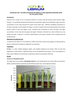 Greenhouse Trial &ndash; The effect of Potassium (K) applied as a foliar
