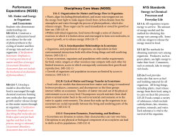 Energy in Chemical Processes and Everyday Life