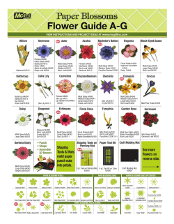Flower Guide AG