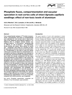 Phosphate fluxes, compartmentation and