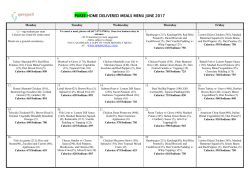 puree home delivered meals menu may 2017