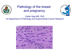 Pathology of the breast and pregnancy
