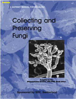 Collecting and Preserving Fungi
