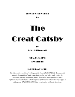 The Great Gatsby Study Guide