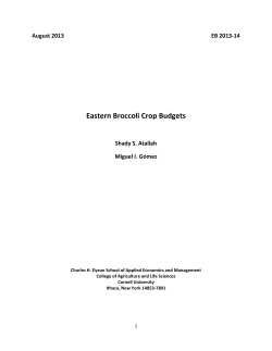 Eastern Broccoli Crop Budgets