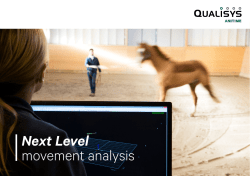 Next Level movement analysis