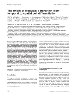 The origin of Metazoa: a transition from temporal to spatial cell