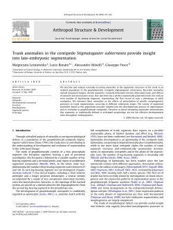 Trunk anomalies in the centipede Stigmatogaster subterranea