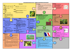 Curriculum Overview for Year 4 - `Rumble in the Rainforest and
