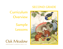 Oak Meadow School