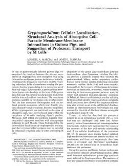 Cryptosporidium: Cellular Localization, Structural Analysis of