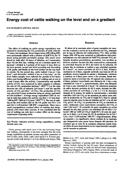 Energy cost of cattle walking on the level and on a gradient