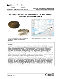 Recovery Potential Assessment of Hickorynut