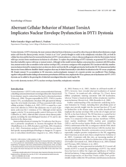 Aberrant Cellular Behavior of Mutant TorsinA Implicates Nuclear