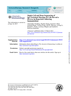 Immunization Diverse Ig Repertoire following IgG