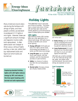 Holiday Lights Factsheet