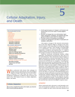 Cellular Adaptation, Injury, and Death