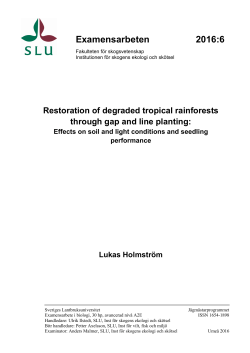 Restoration of degraded tropical rainforests through gap and