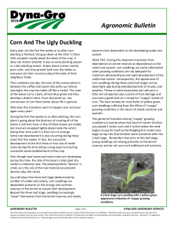 Agronomic Bulletin - Dyna