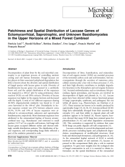 Patchiness and Spatial Distribution of Laccase Genes of