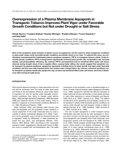 Overexpression of a Plasma Membrane Aquaporin in Transgenic