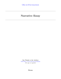Narrative Essay