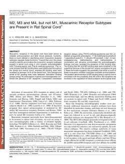 M2, M3 and M4, but not M1, Muscarinic Receptor Subtypes are